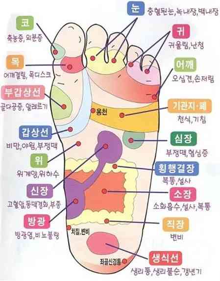 [부경샵] 발마사지 이렇게 하면 장수한다는데..