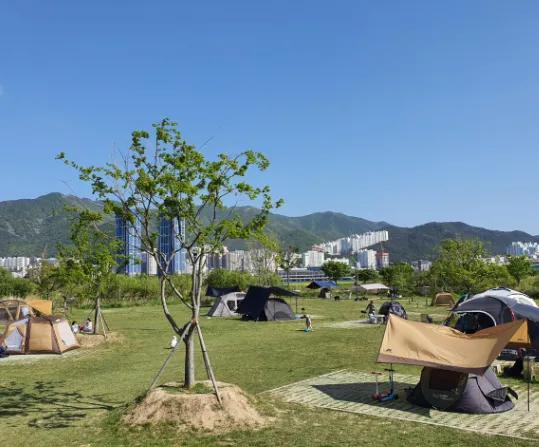 대저캠핑장 플레이스 부산 강서구 대저1동 매장 사진 3 대저캠핑장 플레이스 부산 강서구 대저1동 매장 사진 3